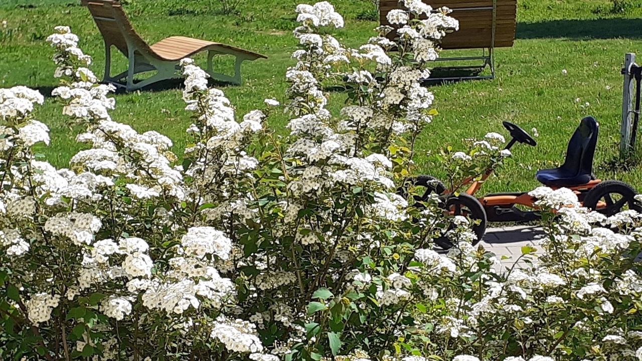 Photo of Outdoor in Ochsenhausen