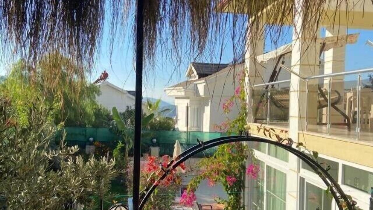 Photo of Outdoor in Oludeniz