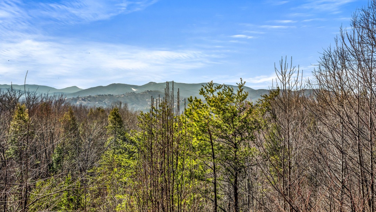 Photo of Others in Gatlinburg