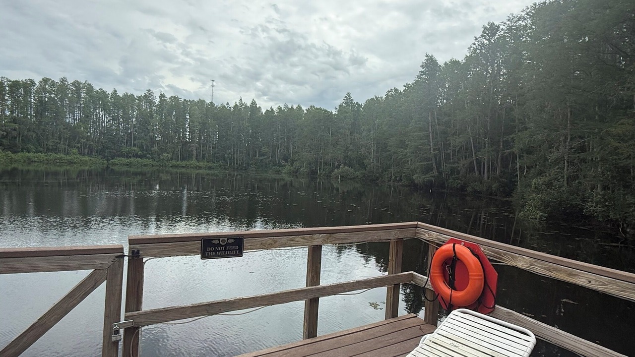 Photo of Outdoor in Lutz
