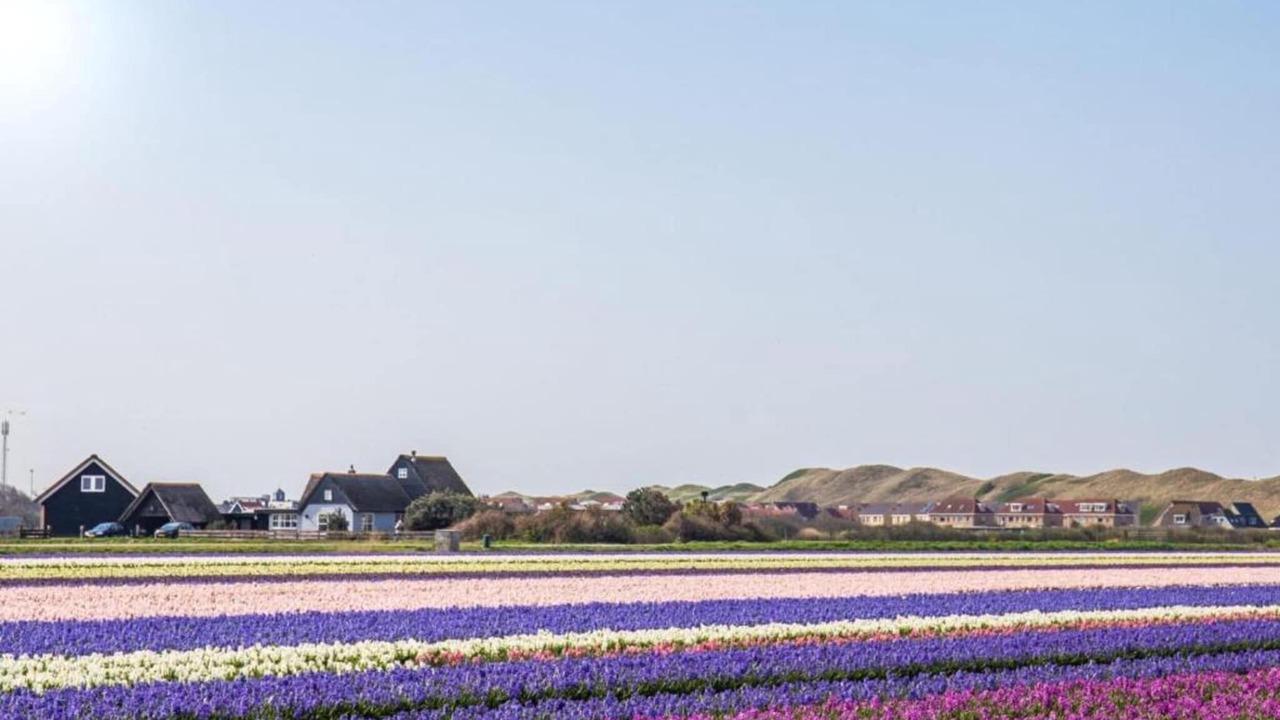 Photo of Others in Julianadorp aan zee