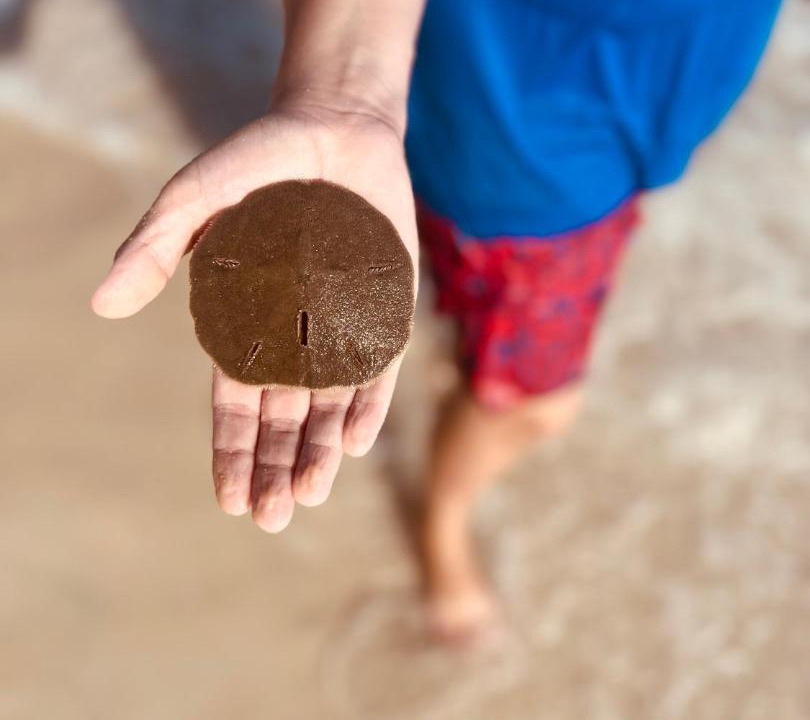 Photo of Others in Rosemary Beach
